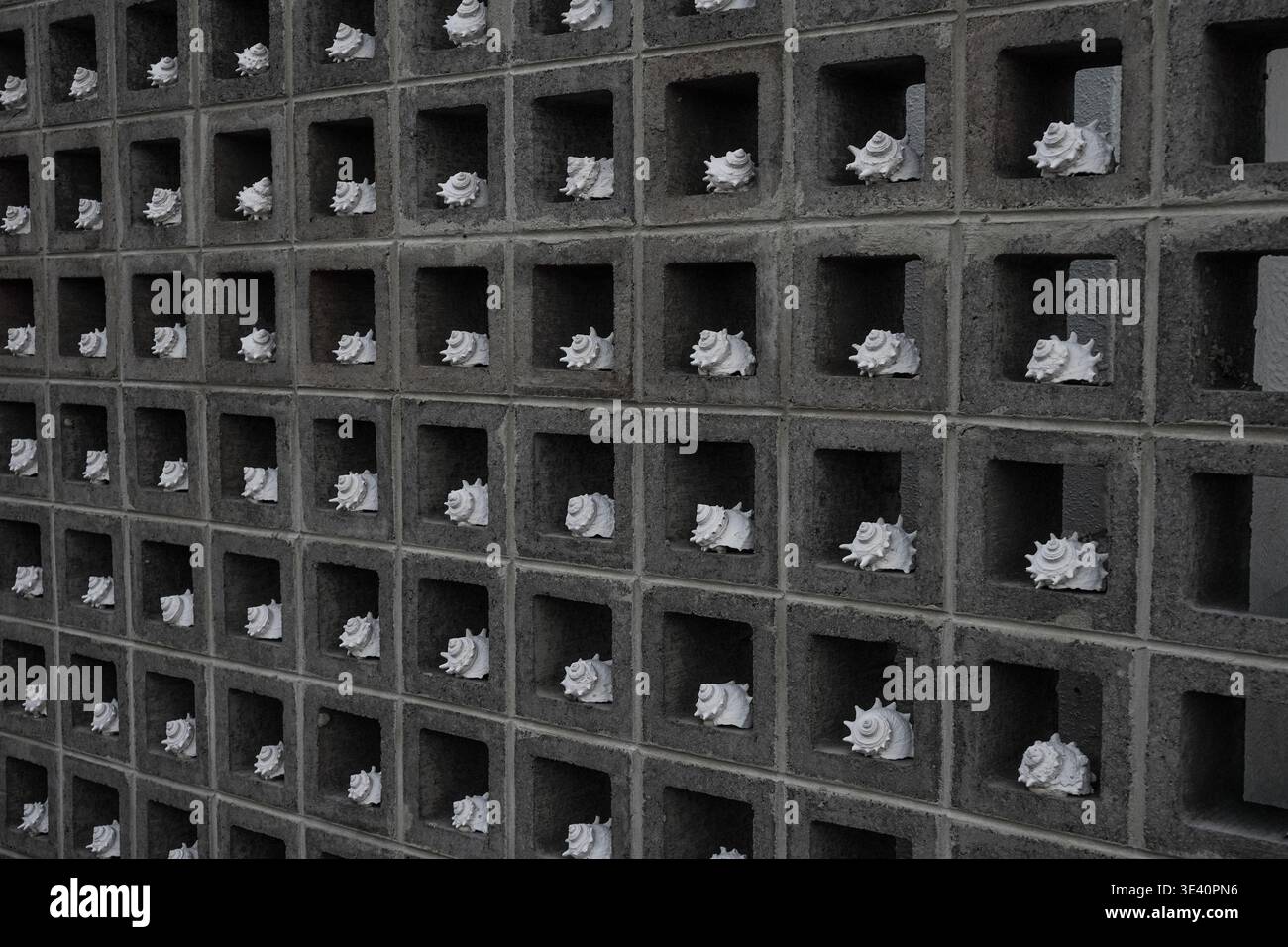White Seashells Displayed in Concrete Breeze Block Wall Stock Photo