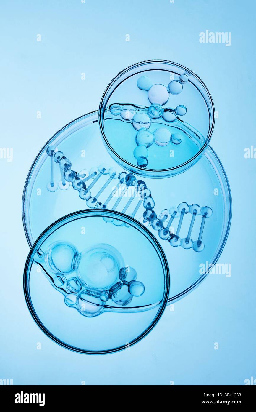 Abstract cosmetic lab. Visualizing dna helix and molecular structures in petri dishes Stock Photo