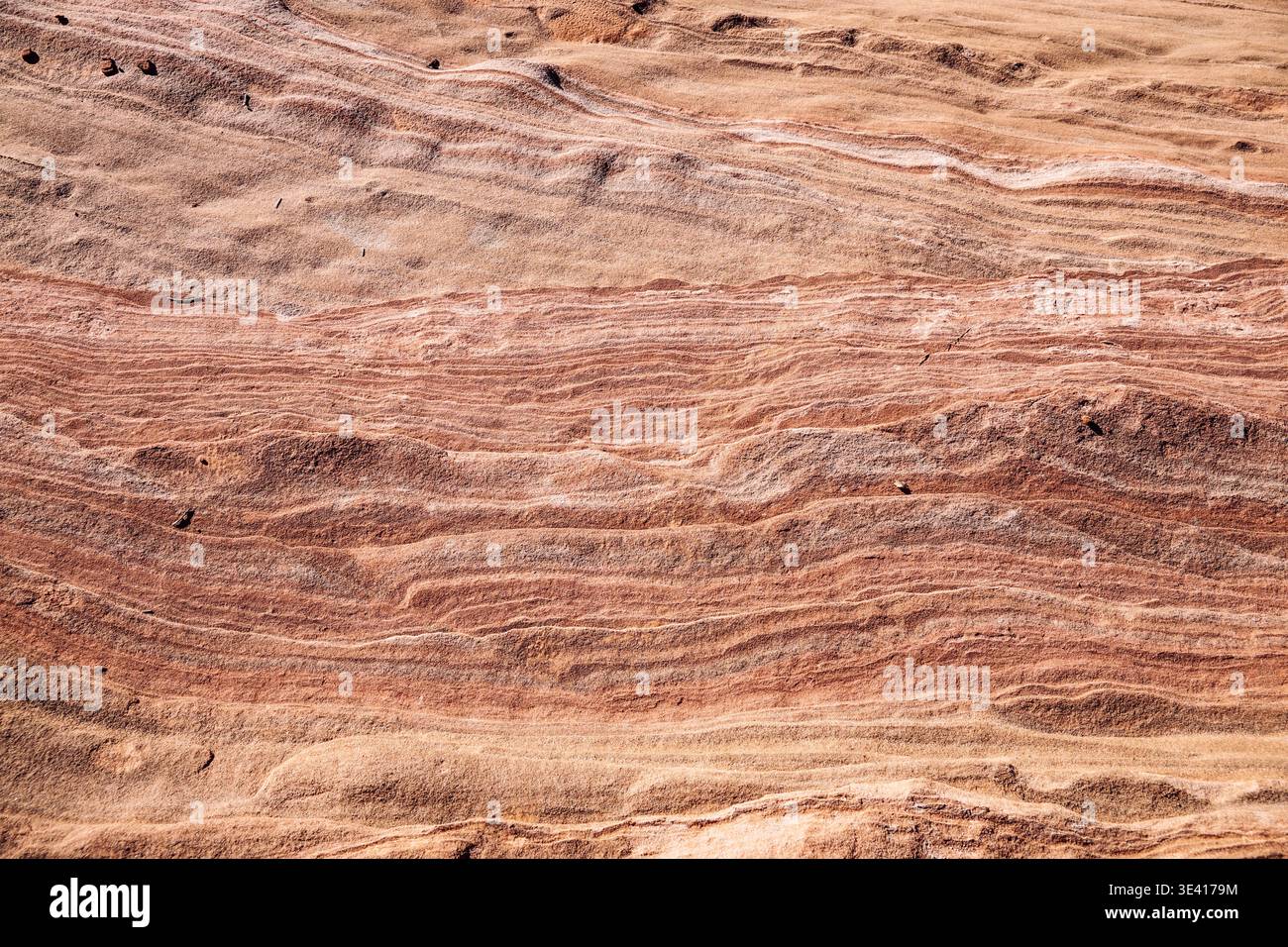 Peperitic Texture Sedimentary Rocks Layered sandstone rock surface showing natural sedimentary patterns and ...