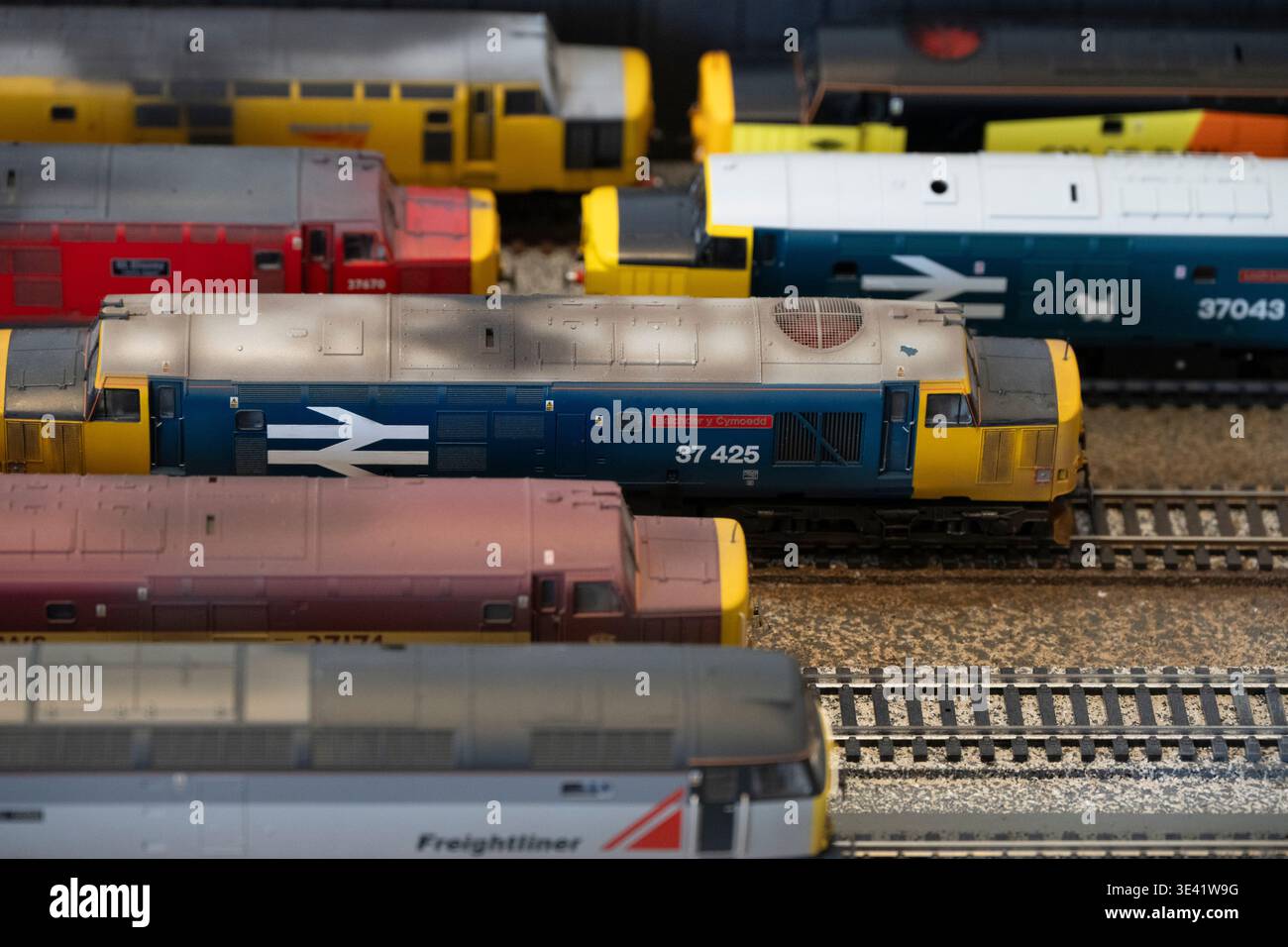 BR Large Logo Class 37 diesel locomotives. OO scale models including ...