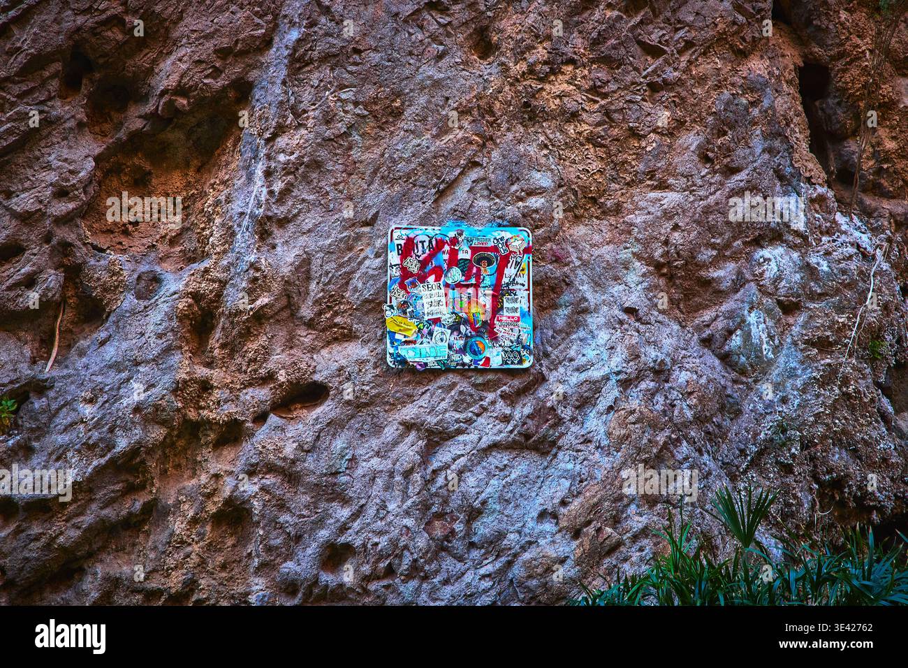 Graffiti Covered Sign on Rocky Cliff Face with Sparse Desert Vegetation Stock Photo