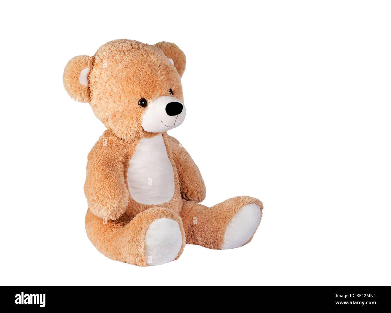 Big brown teddy bear on white background Stock Photo