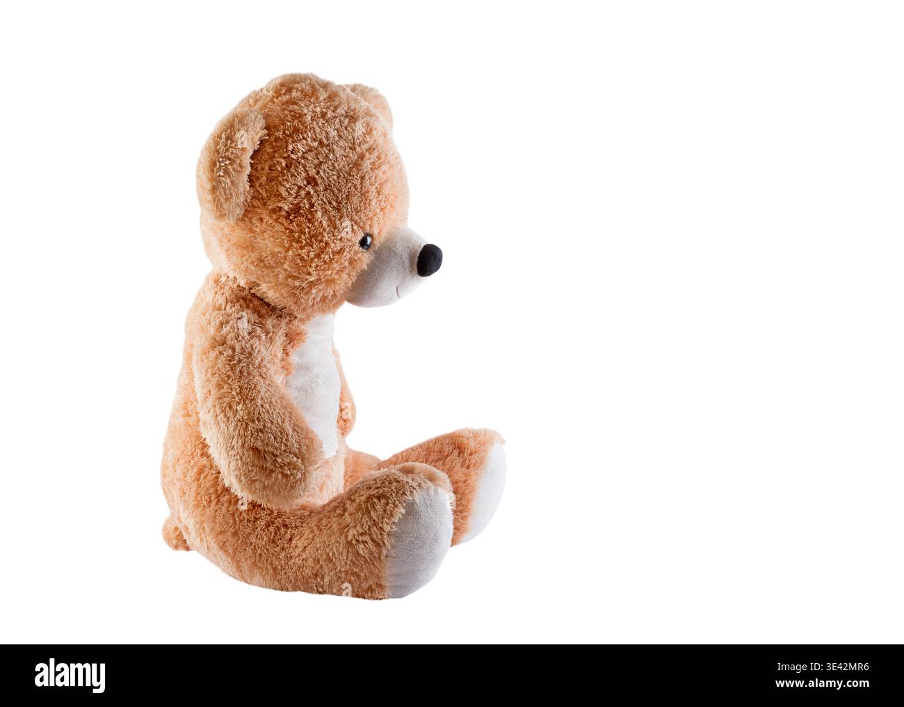 Big brown teddy bear on white background Stock Photo