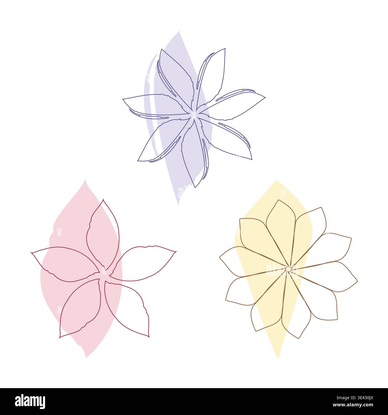 Background features delicate outlines hi-res stock photography and ...