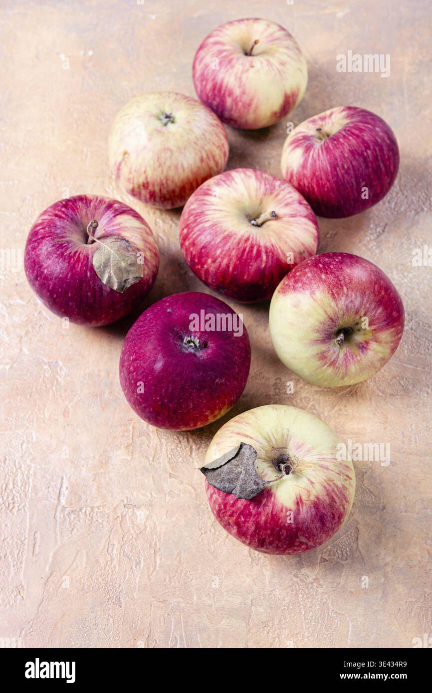 Apples scattered on the table, selective focus, yellow - red, summer variety, early, no people Stock Photo