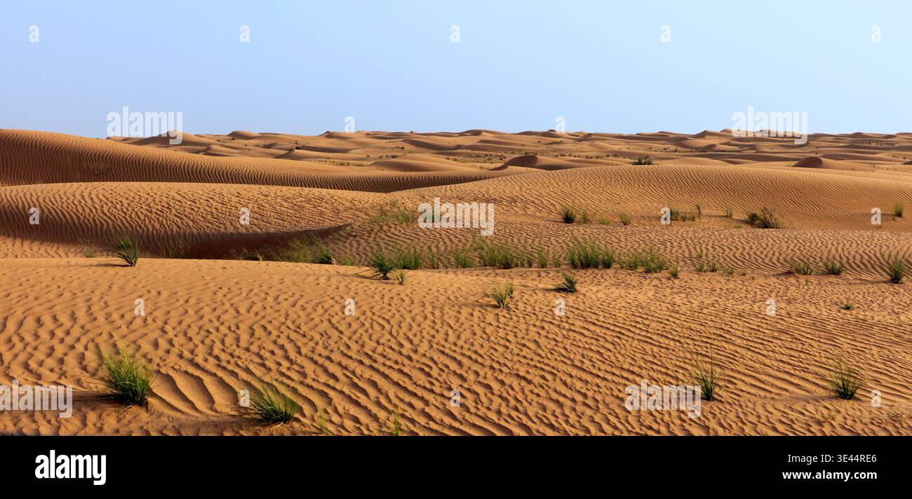 Arabian desert near Dubai Stock Photo