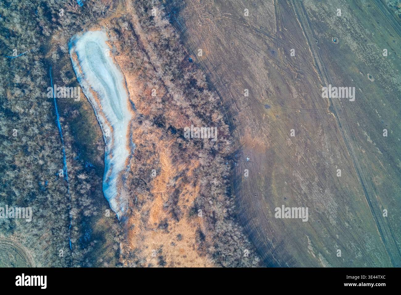 Drone view of a slender frozen pond bordering a wide brown field and woodland. The ice surface and dormant nature capture the quietude of winter and the importance of seasonal water storage in remote rural areas. Stock Photo