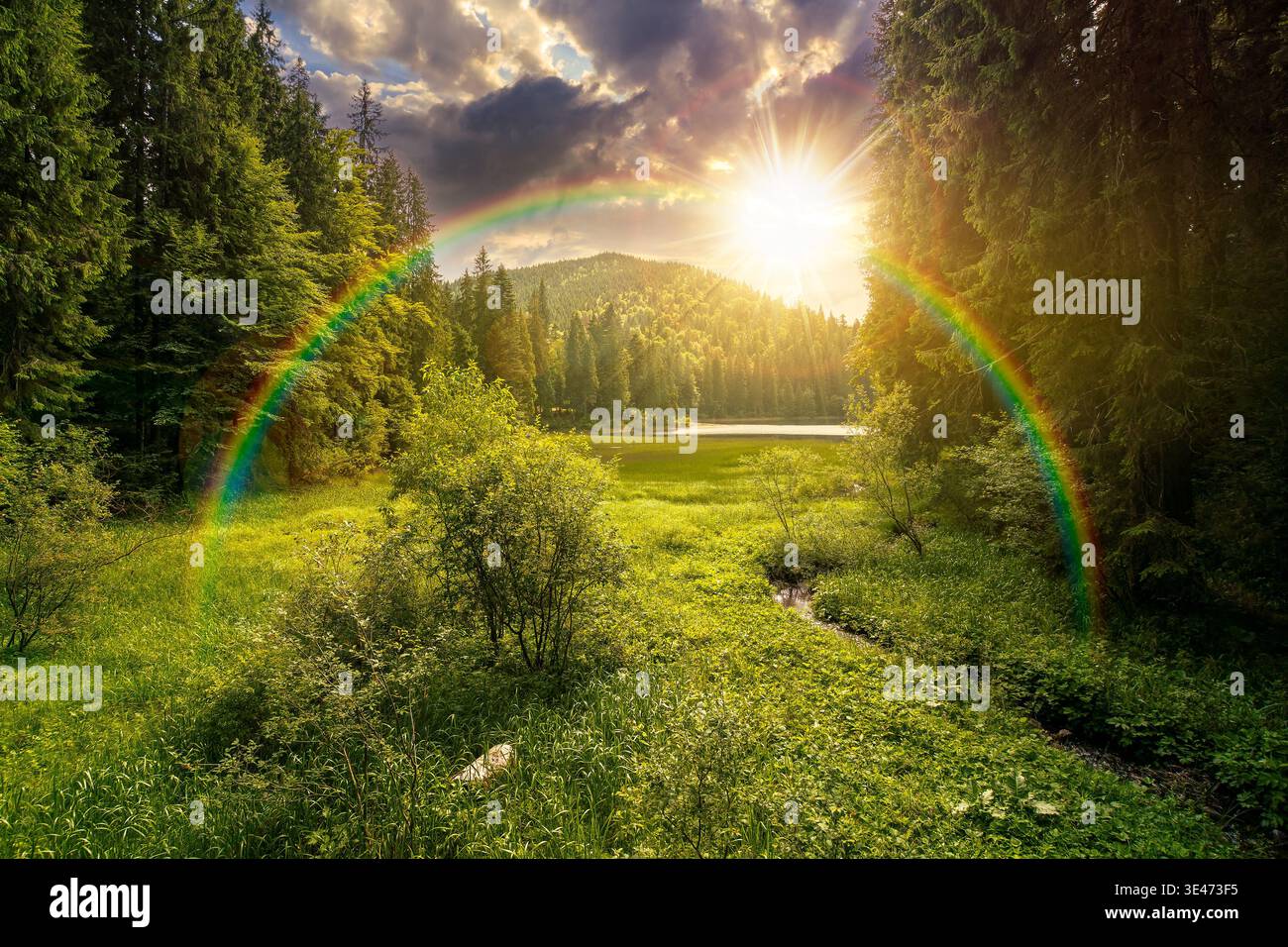 lake in summer mountain landscape at sunset. fresh body of water surrounded by coniferous forest in evening light. spectacular scenery of alpine desti Stock Photo