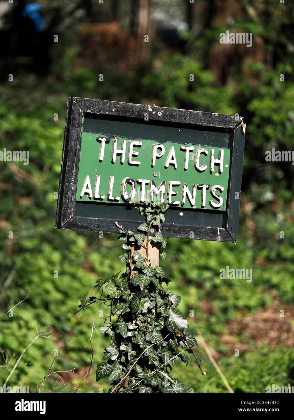 The Patch Allotments, Woughton on the Green, Milton Keynes Stock Photo