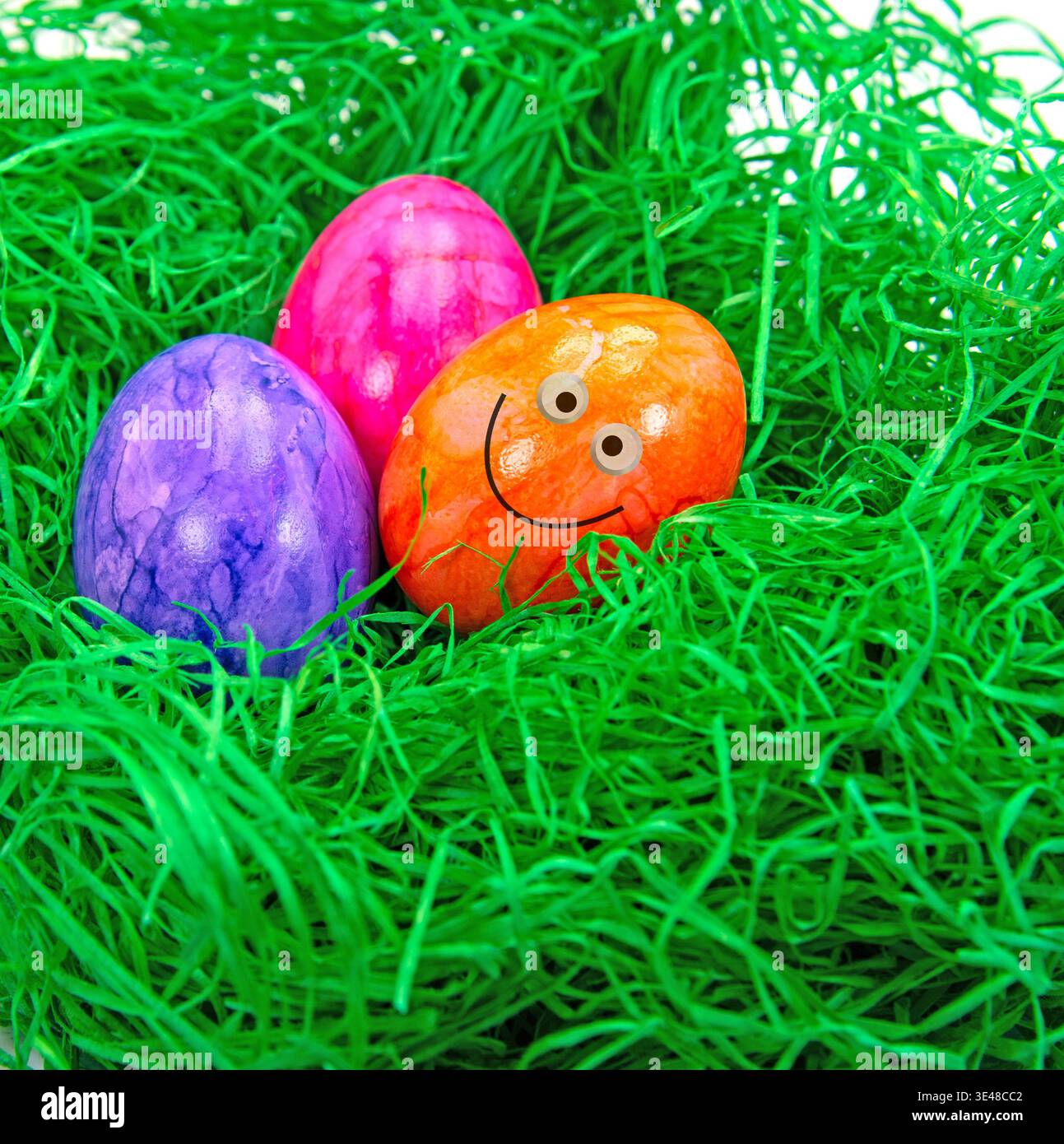 Easter eggs in the grass with funny faces Stock Photo