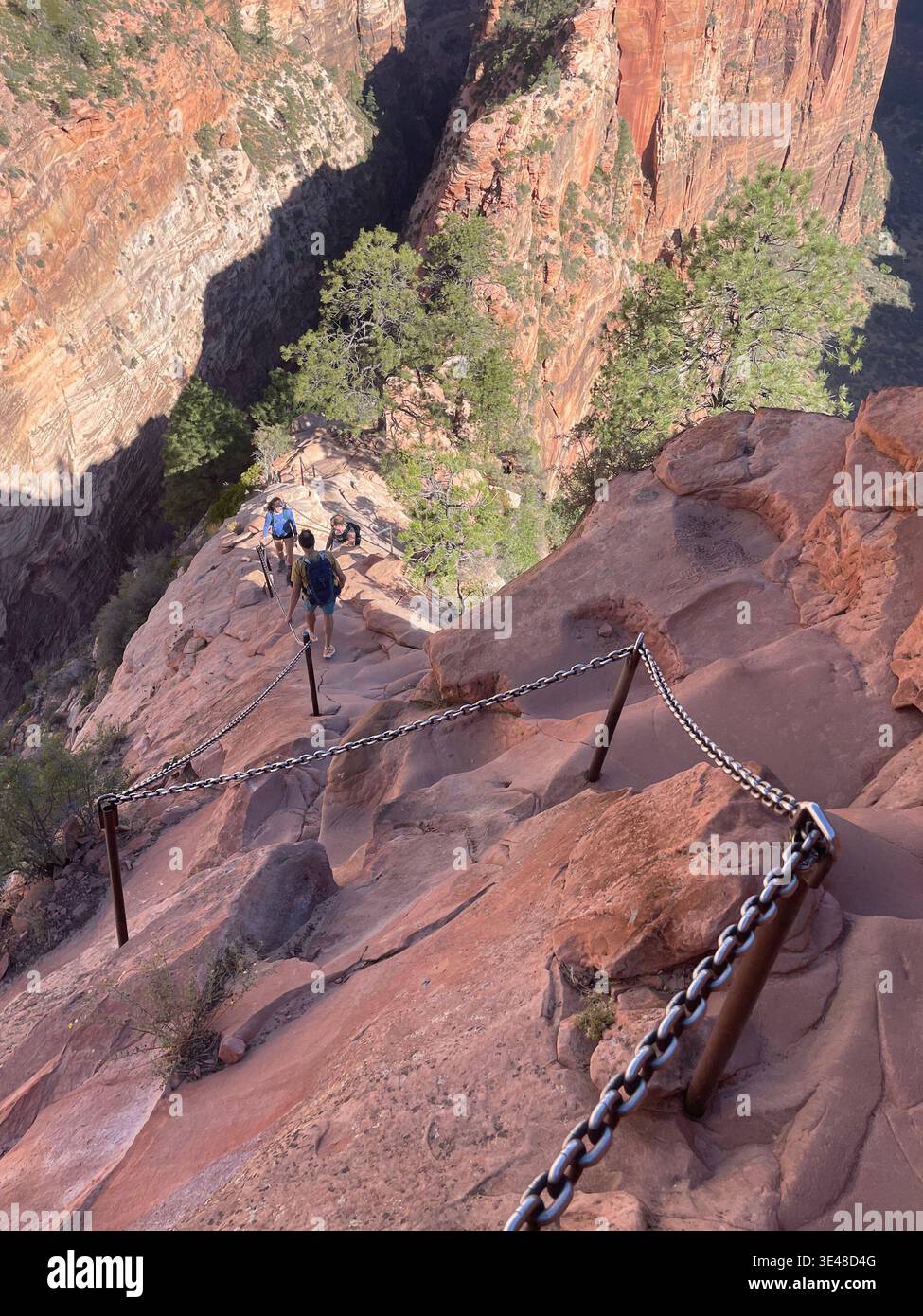 Steep chain-assisted descent with hikers on red rock ridge, Angels Landing trail, Zion National Park, Utah, USA - Smartphone Captured Stock Image