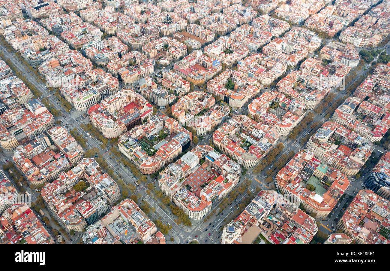 Octagonal grid hi-res stock photography and images - Alamy