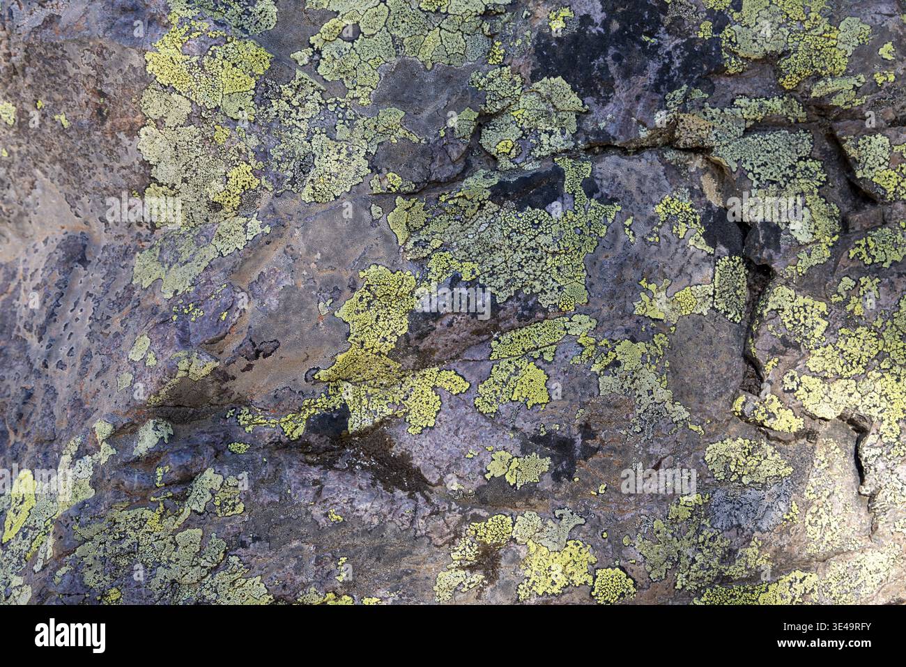 Weathered limestone rock as texture or background Stock Photo