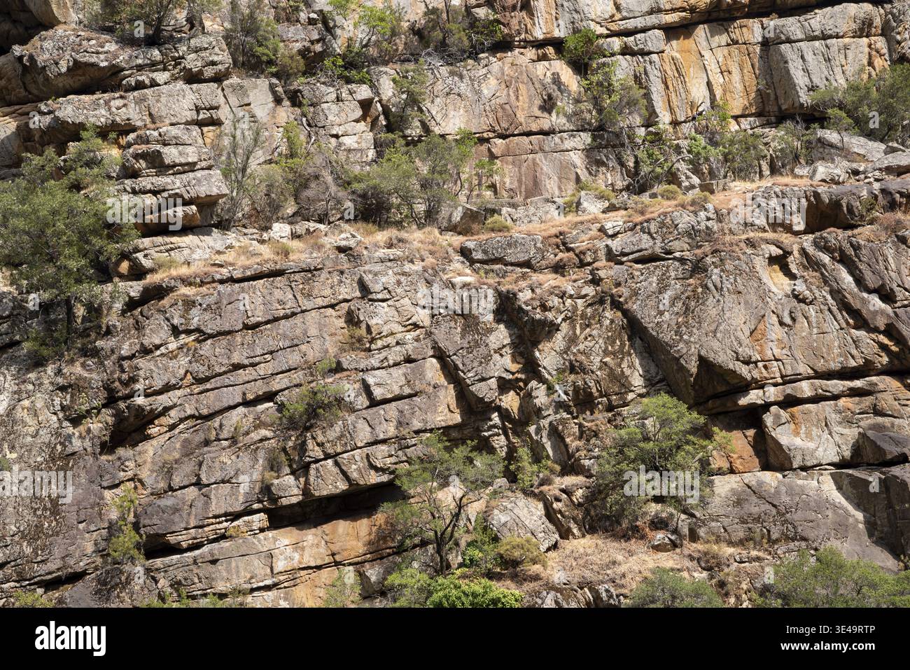 Layered granite rocks with trees as texture or background Stock Photo