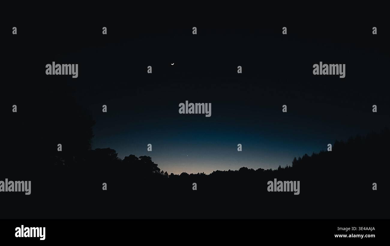 Crescent Moon Over Forest Silhouette at Twilight Horizon Nightscape - Smartphone Captured Stock Image