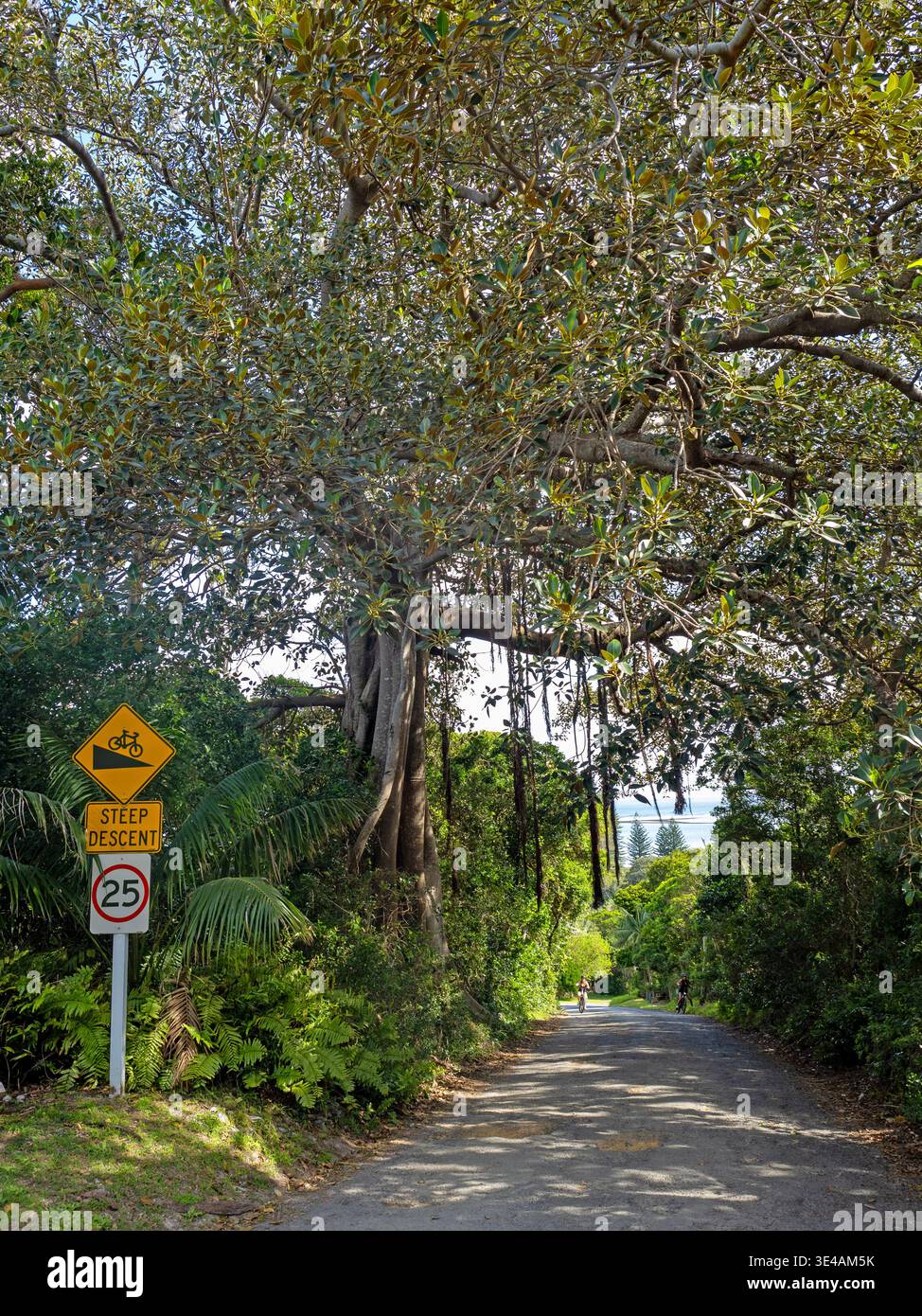 Cycling up a steep Lord Howe Island road Stock Photo