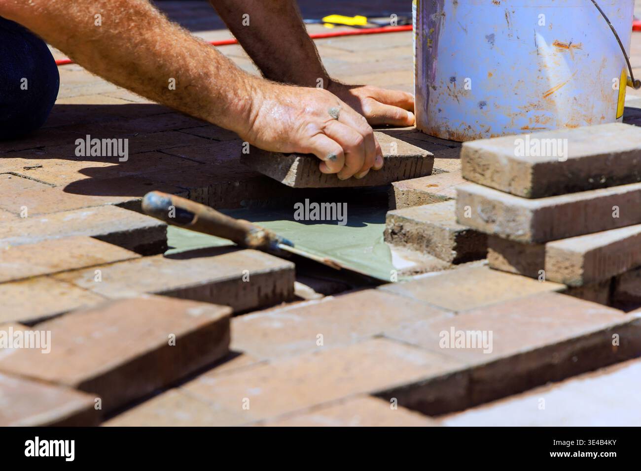Contactor places bricks while working on patio, tools, materials are nearby, in residential setting. Stock Photo