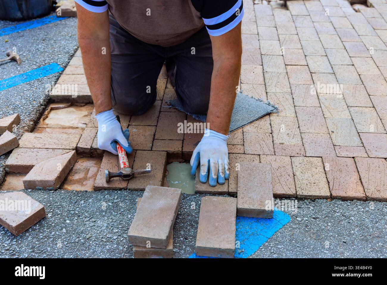 Contactor is kneeling on ground while placing bricks in pattern for walkway pavement repair Stock Photo