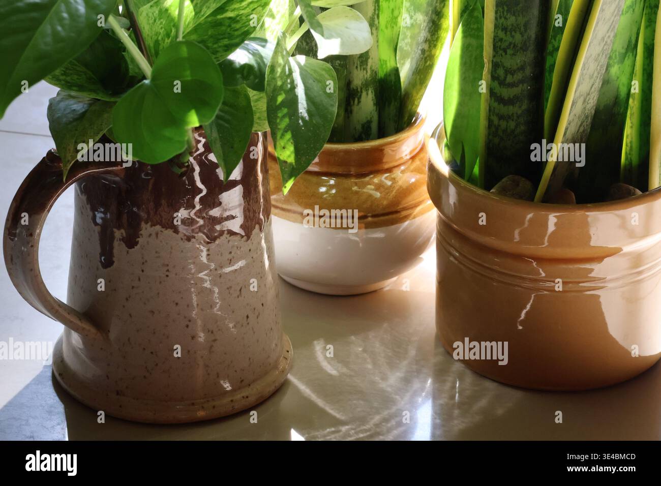 Three Ceramic Pots With Indoor Plants Stock Photo