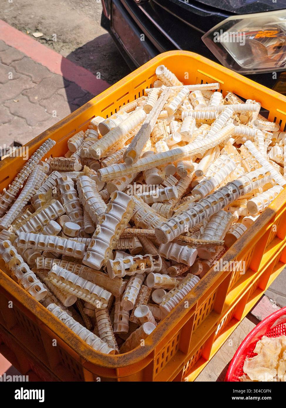 A yellow plastic crate filled with dried shark fish backbones, commonly ...