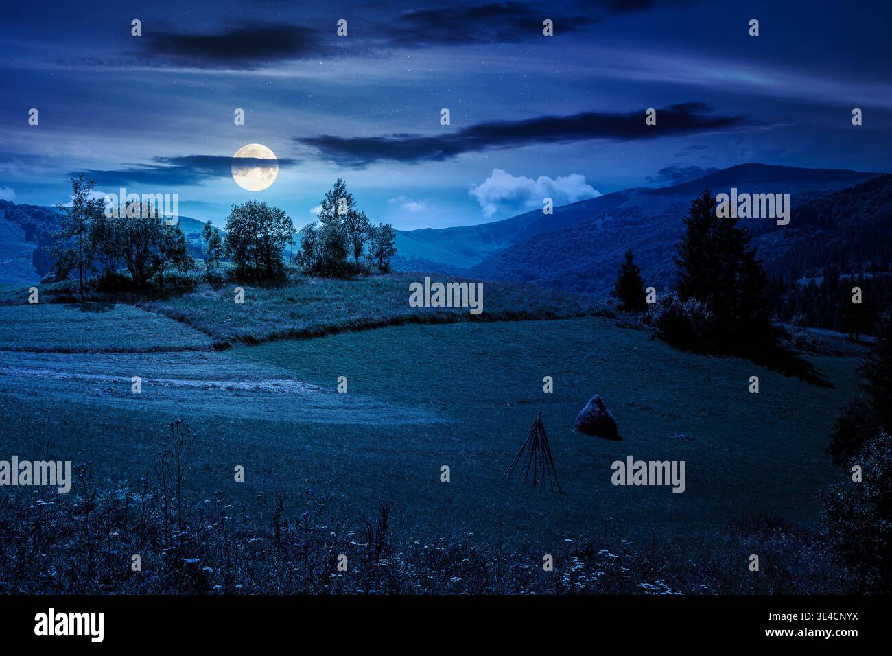 rural landscape with field on hill at night. alpine scenery with traditional haystack in full moon light. mountainous countryside hayfield during summ Stock Photo