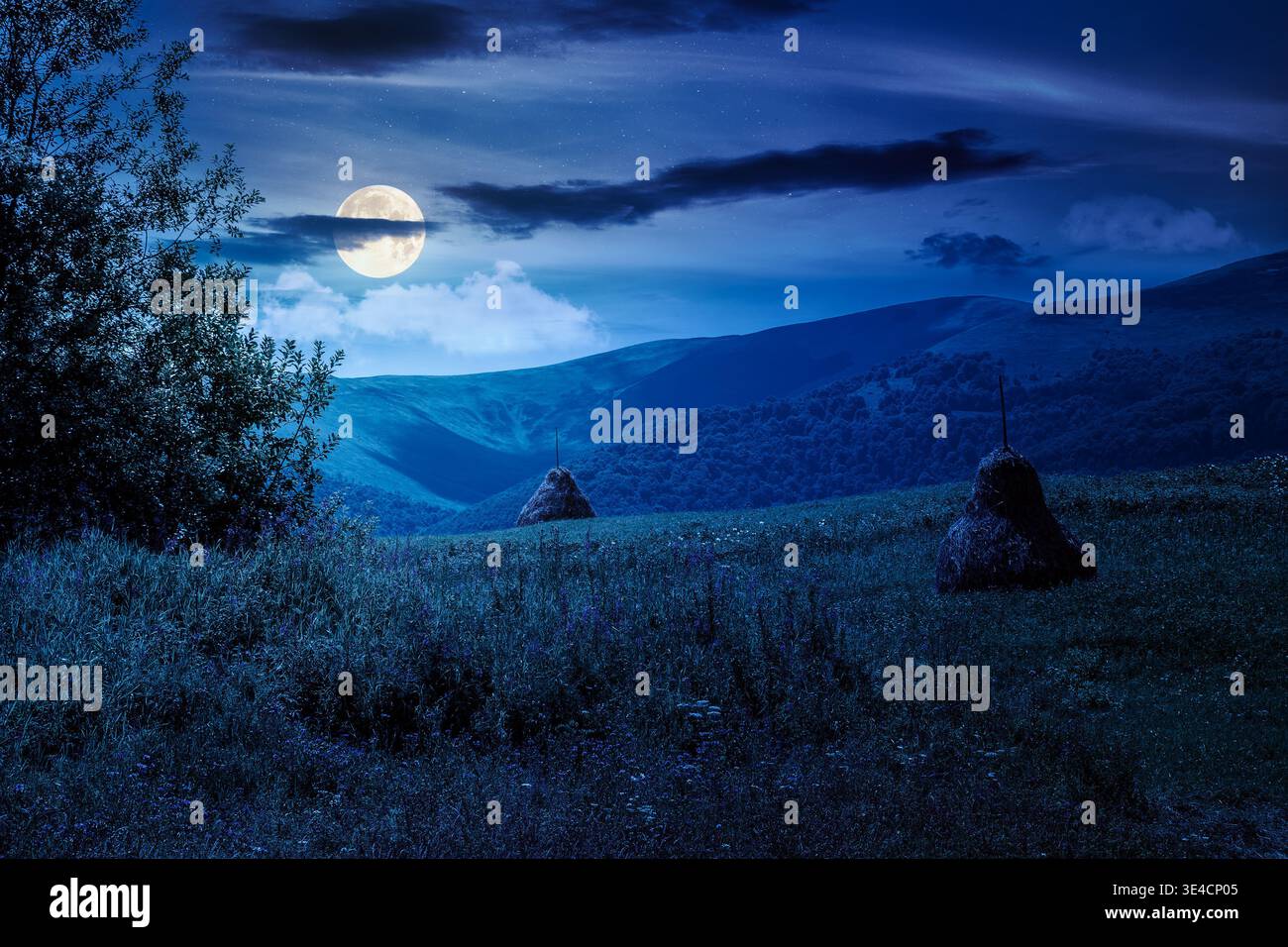 rural landscape with field on hill at night. alpine scenery with traditional haystack in full moon light. mountainous countryside hayfield during summ Stock Photo