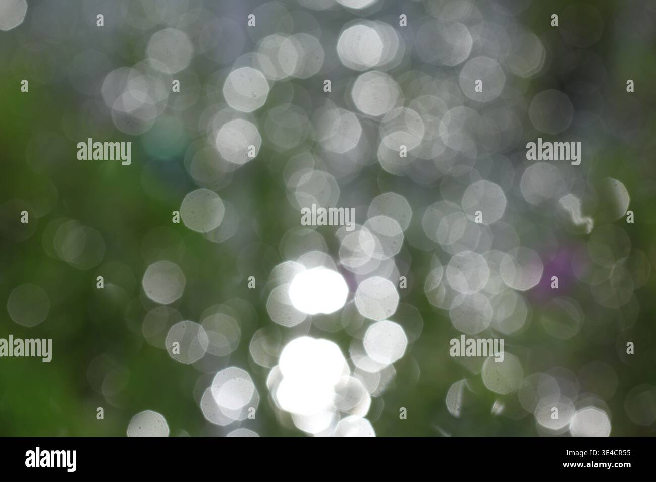defocused light on the background. Defocused bokeh. Stock Photo