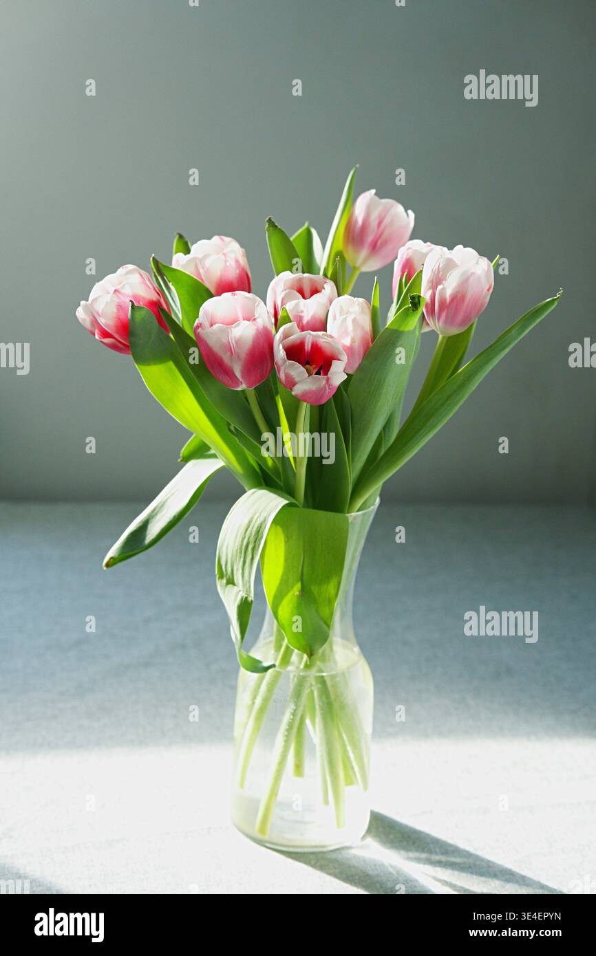 A bouquet of pink tulips in a glass vase on a tray background. High quality photo Stock Photo