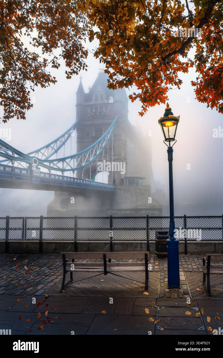 Moody autumn view of the Tower Bridge in London with fog, England, with golden foliage Stock Photo