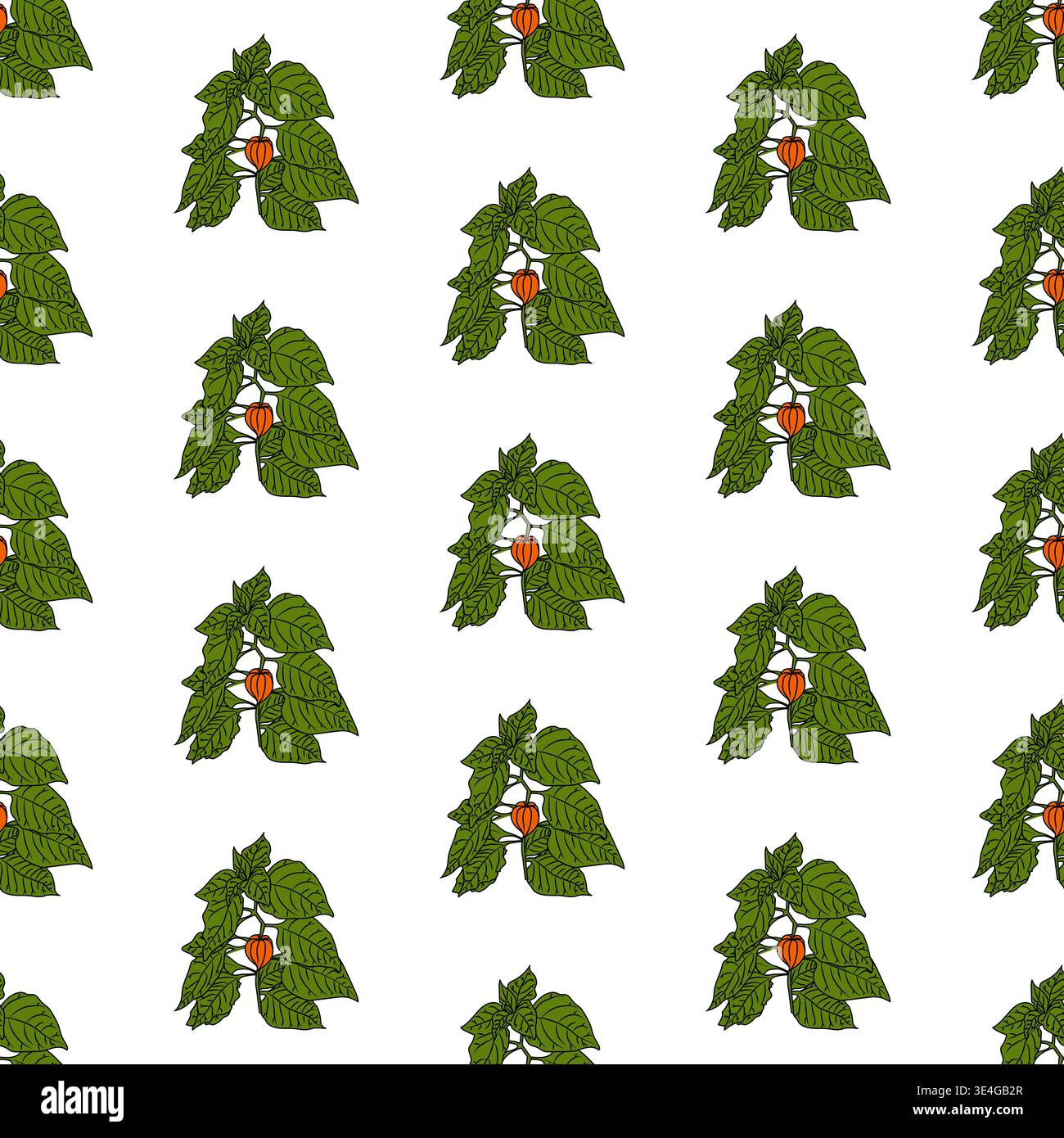 Physalis branch with lush foliage. Seamless pattern. Stock Vector