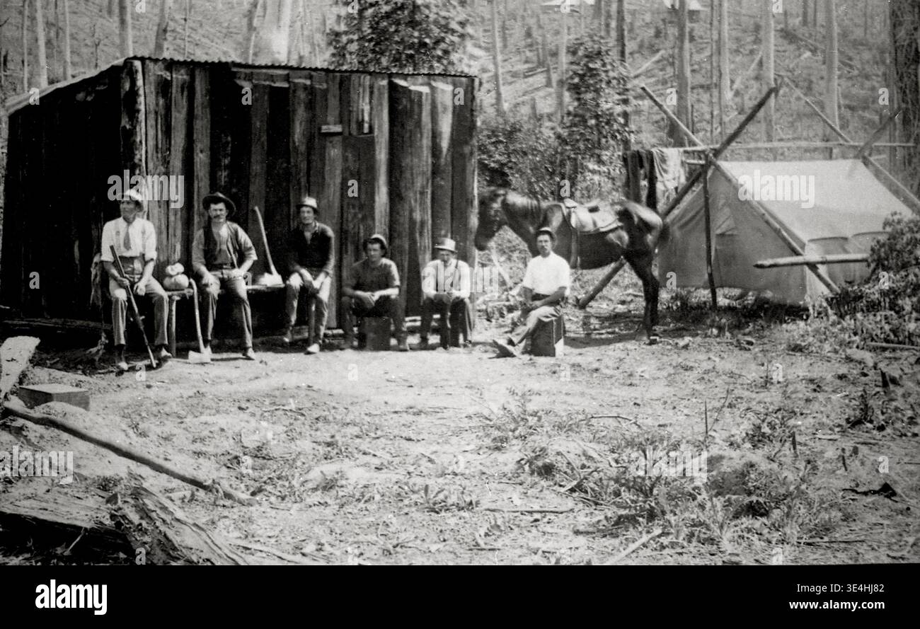 Historic photograph of an old Cutters Camp in the 1800's in the ...