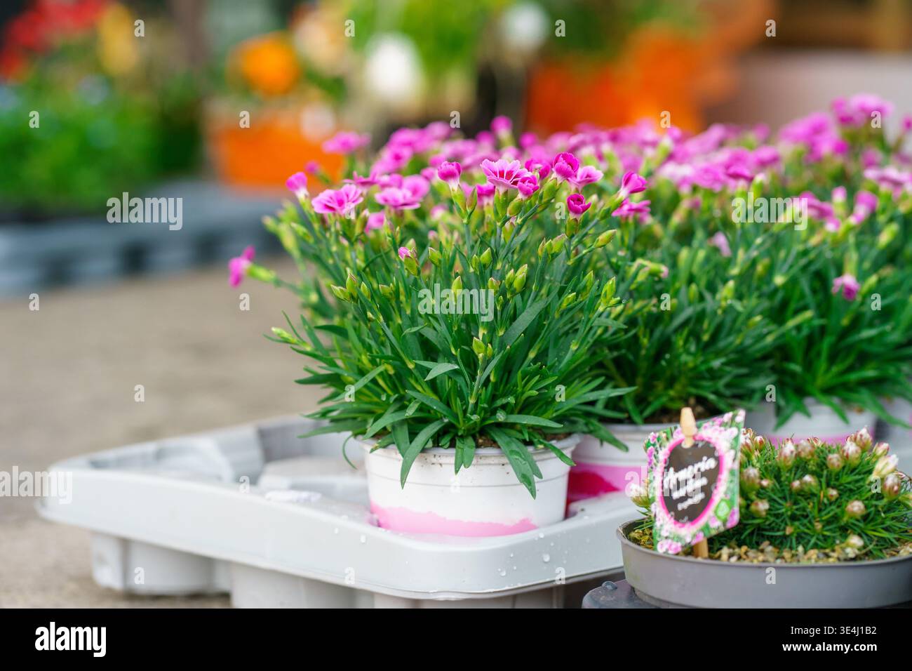 18 plant saucer Gro Pro