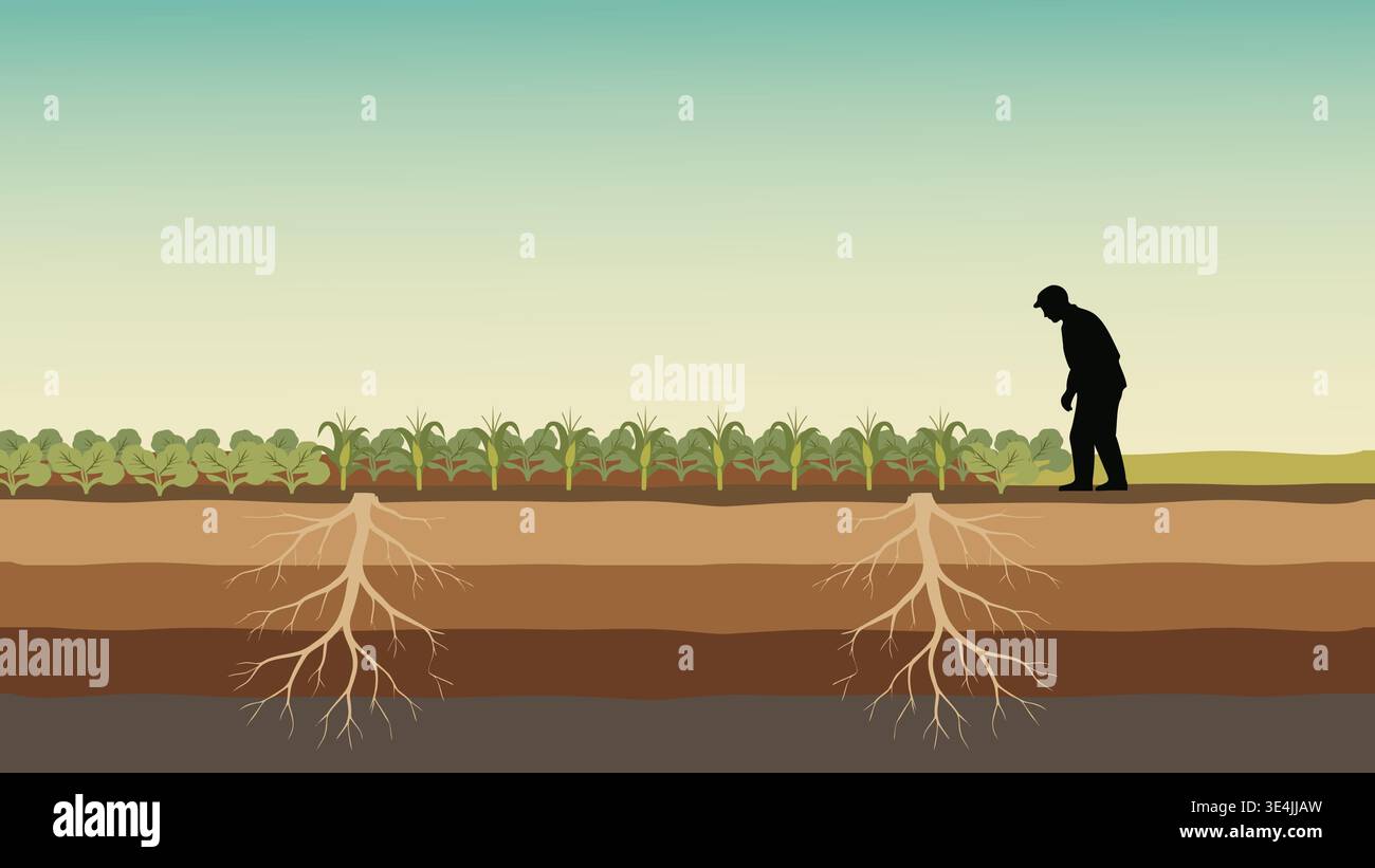 Concept sustainable farming deep hi-res stock photography and images ...