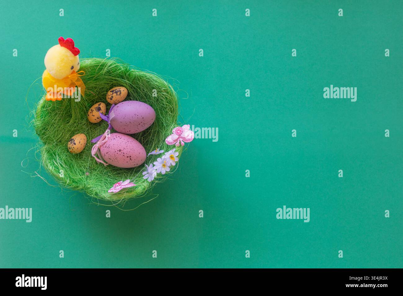 Image for Easter banners or cards on a green background. Place for text. Stock Photo