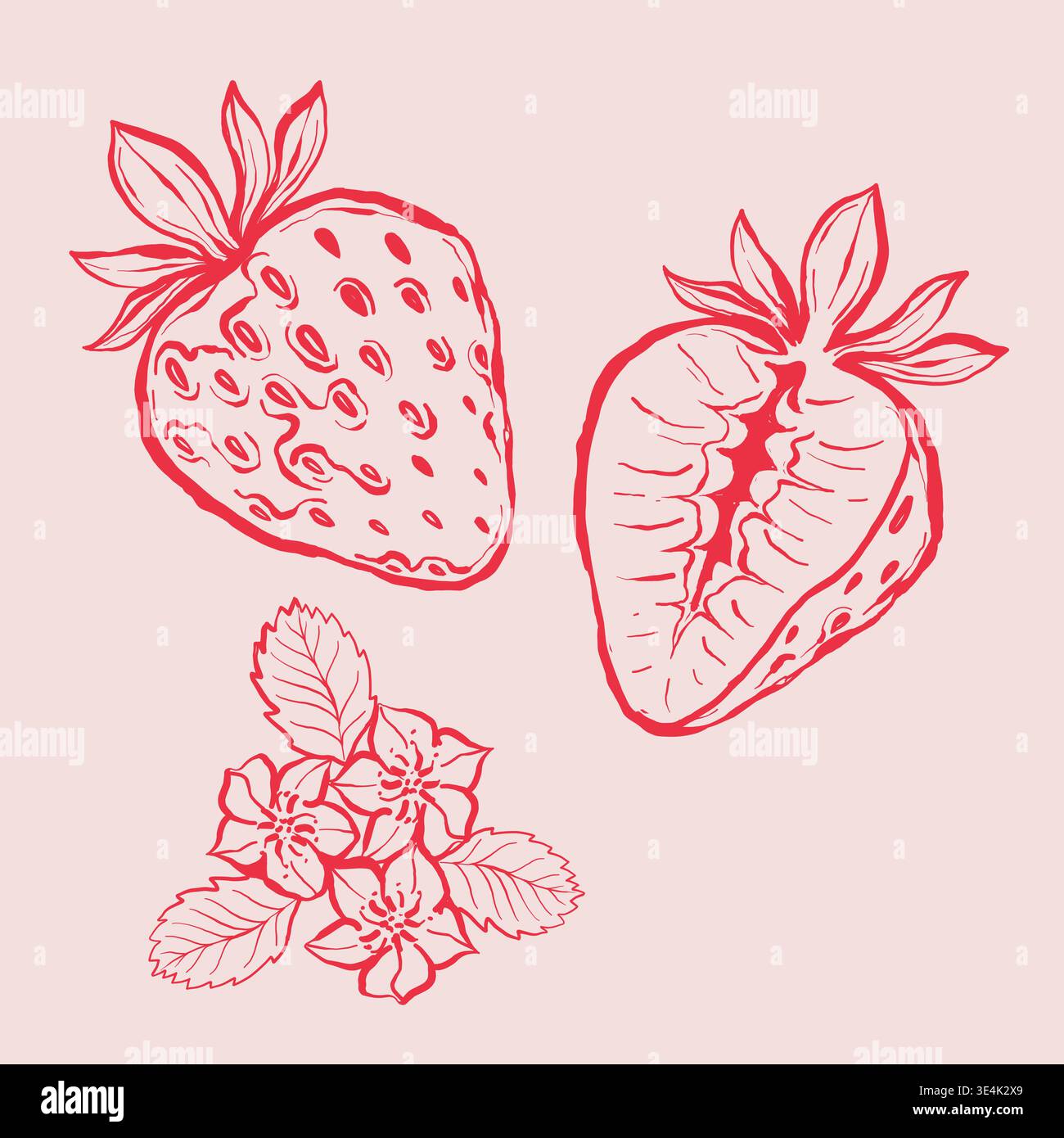 Hand-drawn lineart strawberries and flowers illustration on pink background Stock Vector