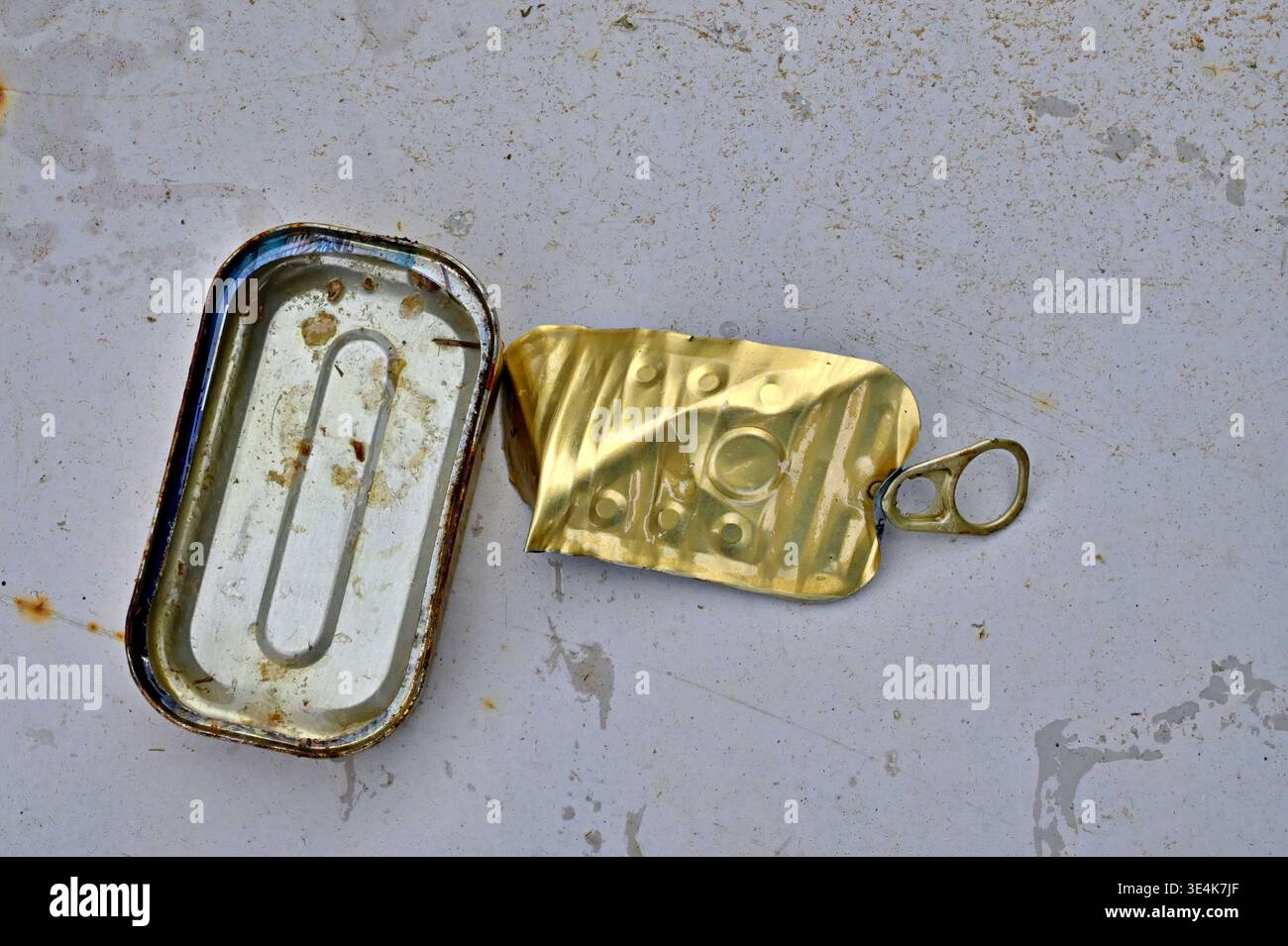 Empty rectangular tin sardine can with peeled back lid on floor Stock Photo