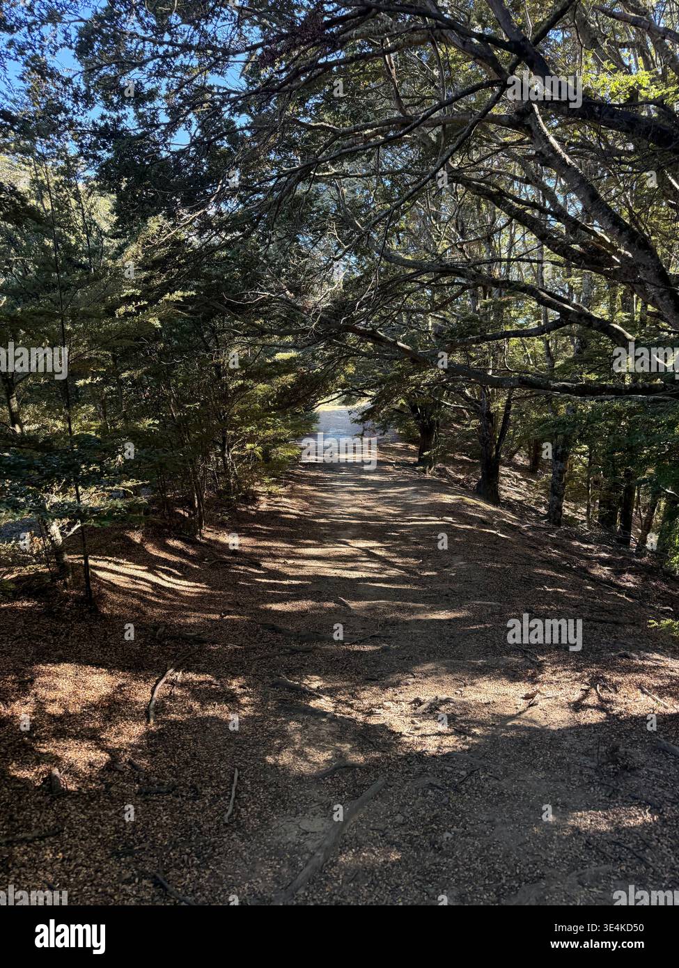 Moke Lake round track in a Sunny day - Smartphone Captured Stock Image