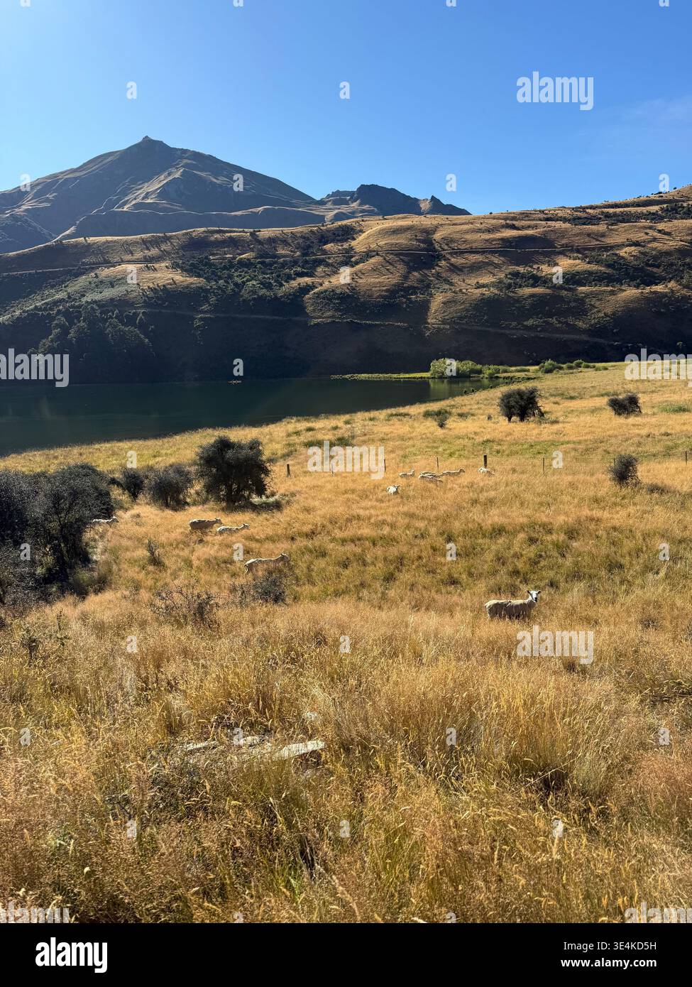 Moke Lake round track in a Sunny day - Smartphone Captured Stock Image