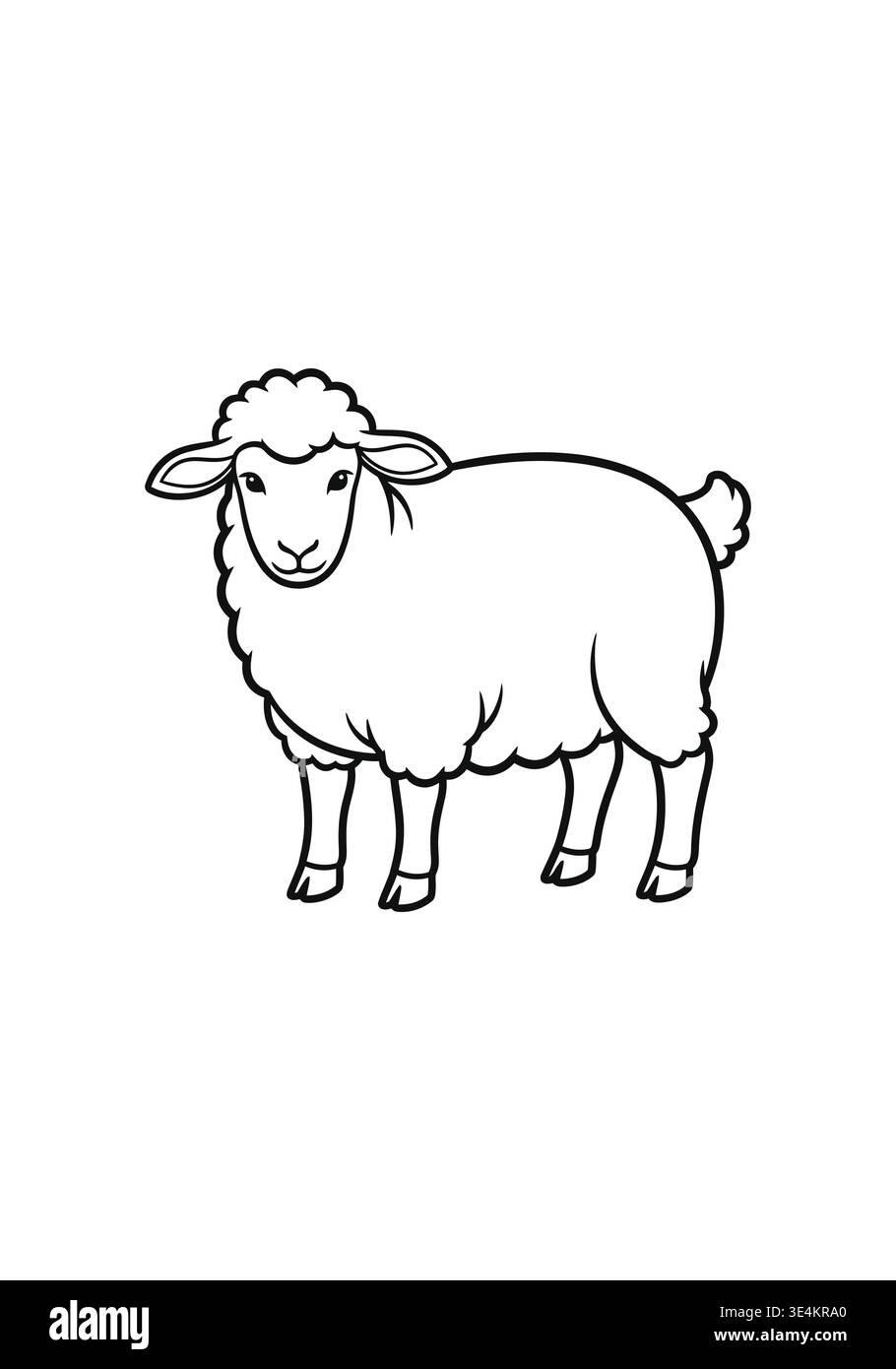 Simple Sheep Reference Simple line drawing of a sheep standing on four legs Stock Vector Image ...