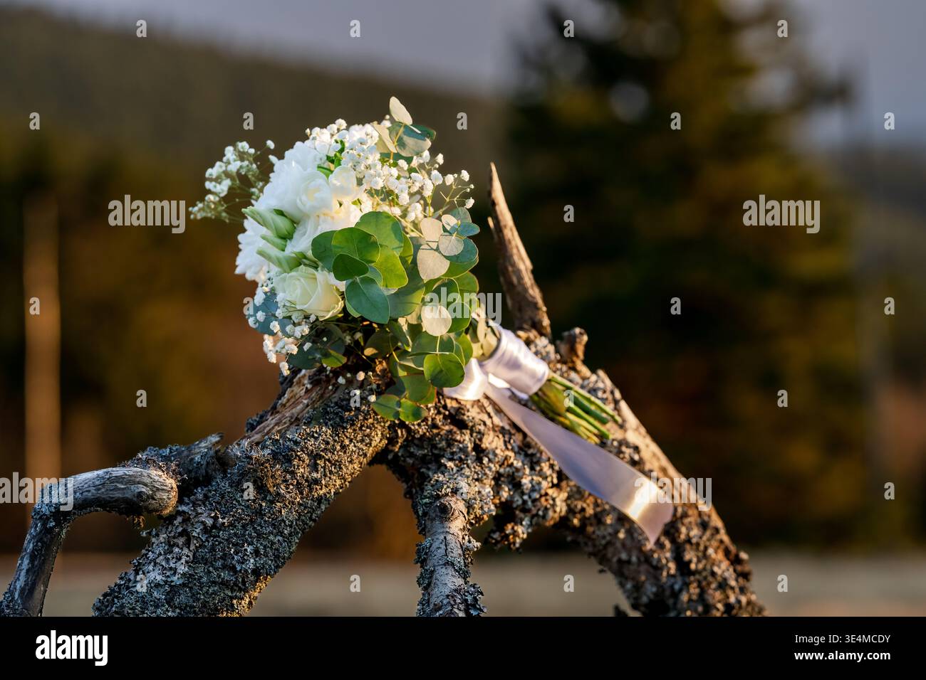 Wedding bouquet with white roses eucalyptus on rustic branch Stock Photo