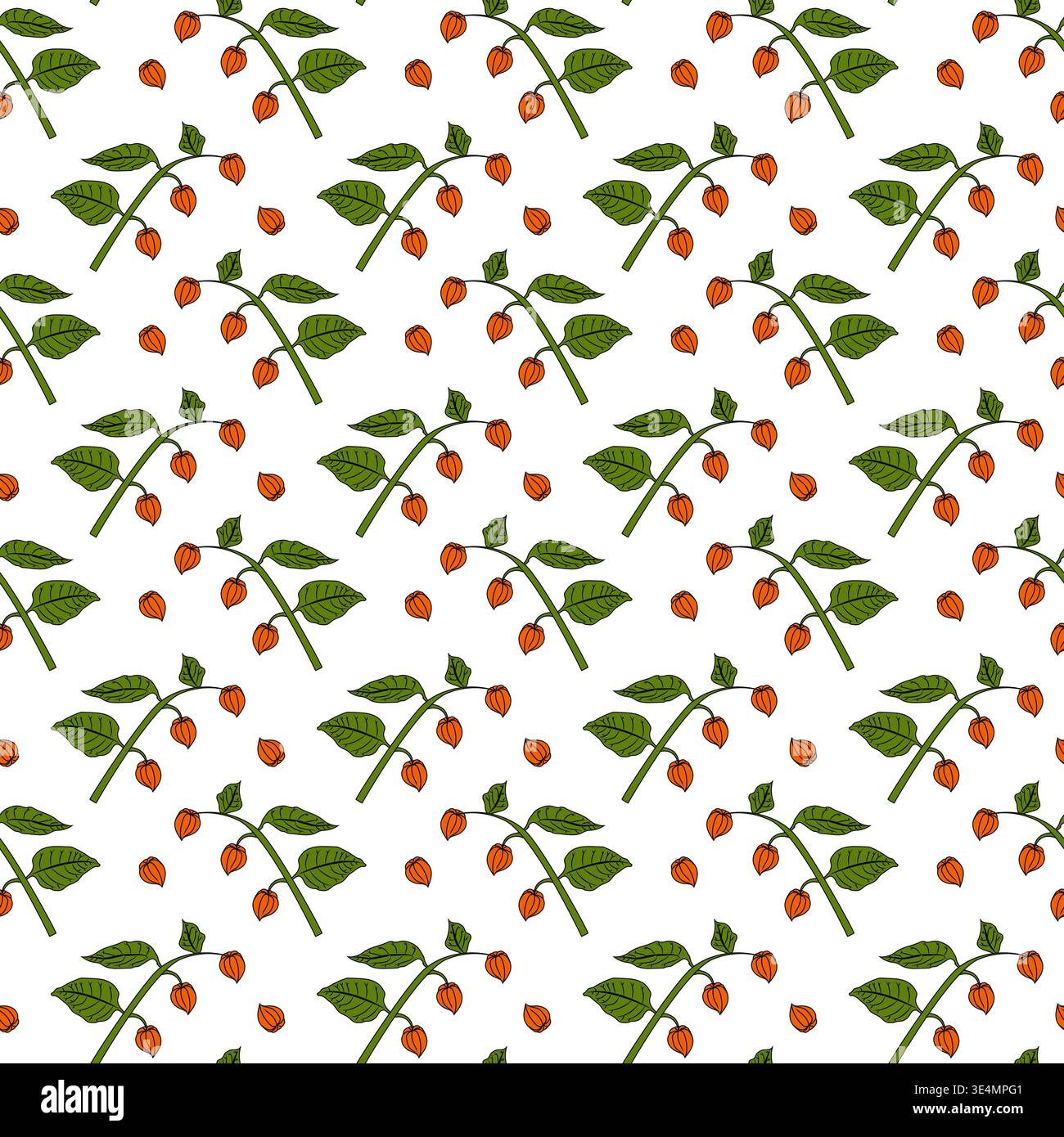 Physalis branch in cartoon style. Seamless pattern. Stock Vector