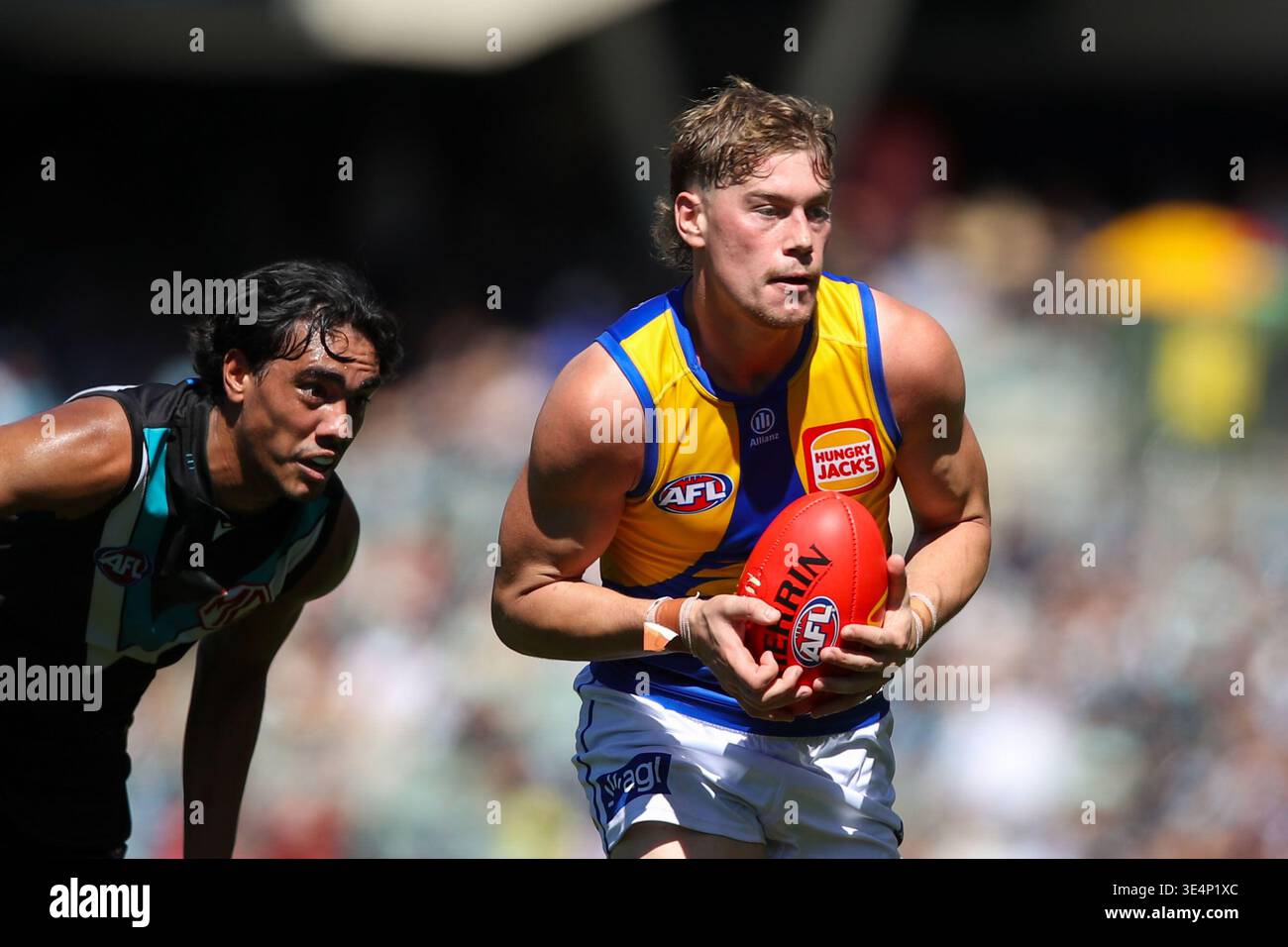 Harley Reid of the Eagles during the AFL Round 3 match between the Port