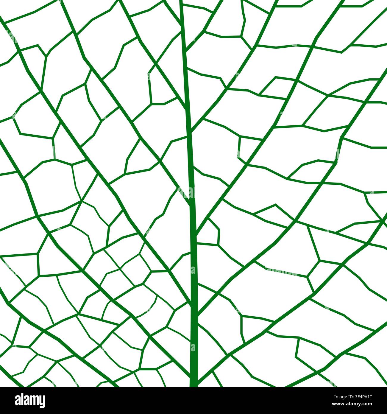 Green leaf vein texture, plant cell closeup background. Realistic tree leaf skeleton pattern, microscope close up macro view bg structure with veins and cells. Vector natural textured foliage backdrop Stock Vector