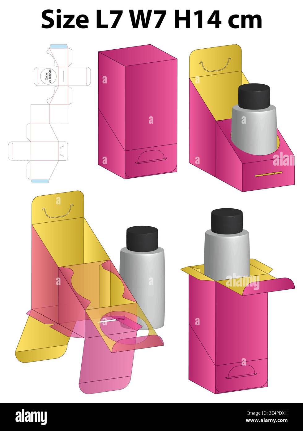 Display Box with Bottle Insert Support Dieline Template Stock Vector