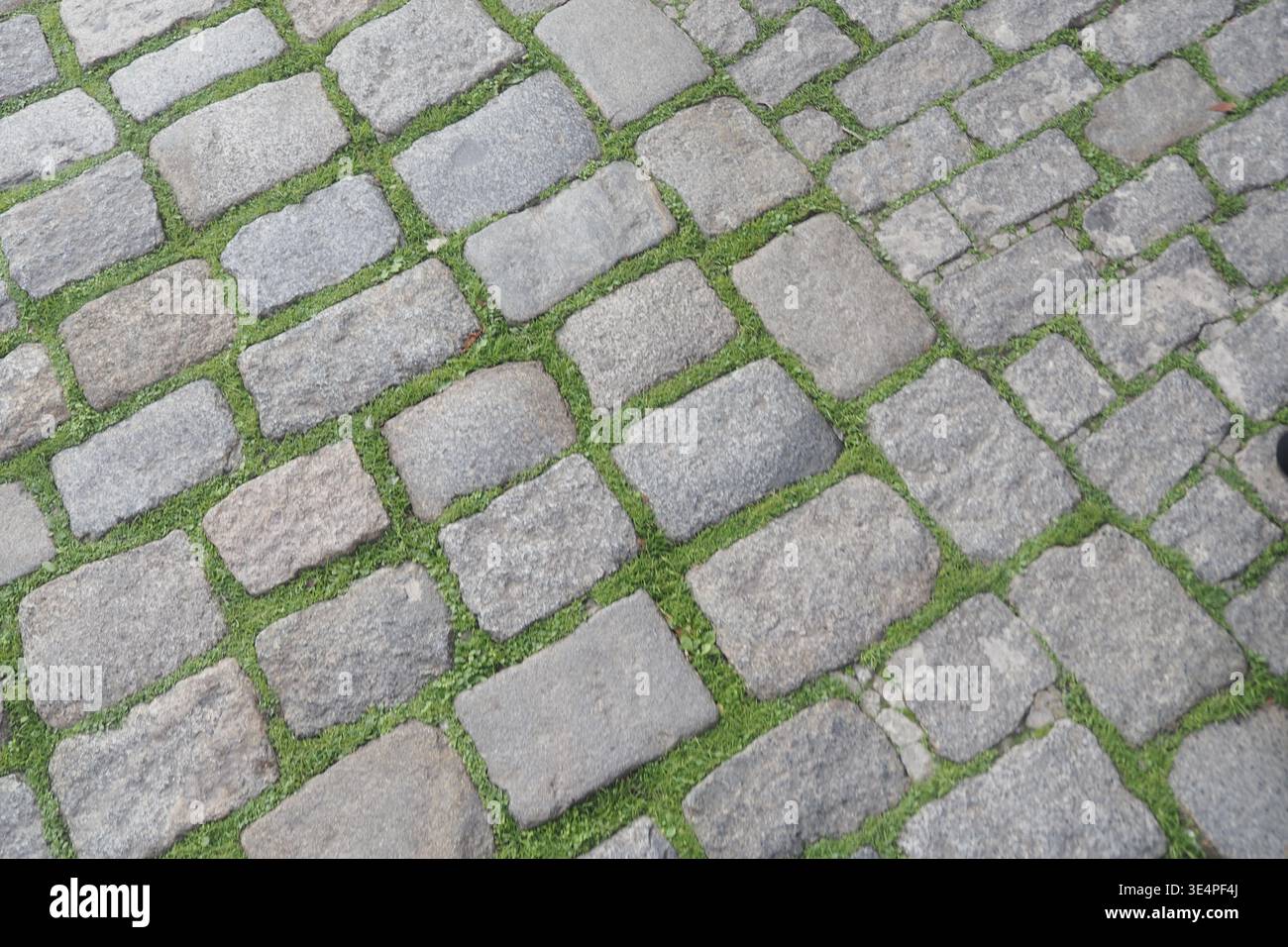 Cobblestone path with grass growing between stones Stock Photo