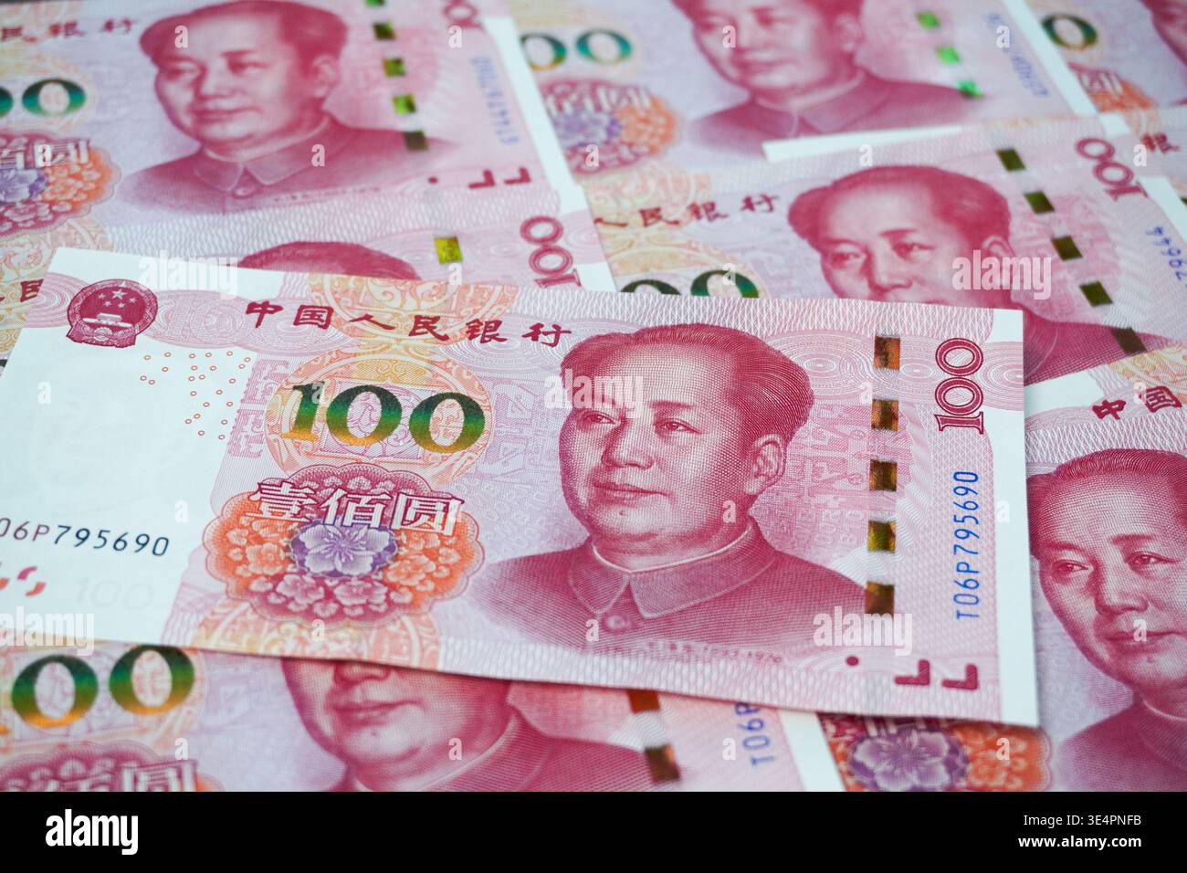Multiple Chinese 100-yuan banknotes featuring Mao Zedong are spread out ...