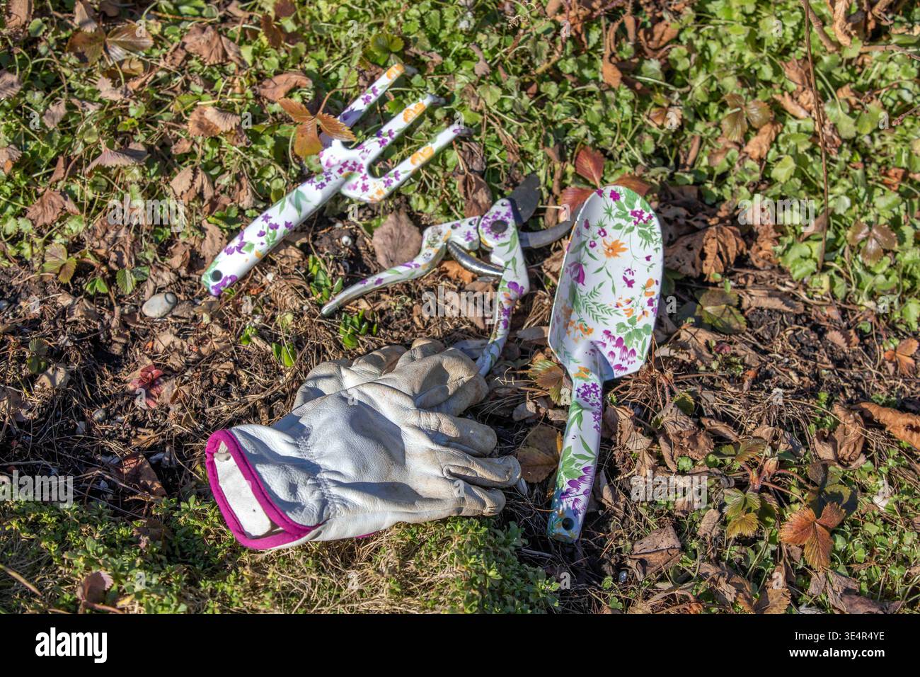München, Deutschland 25.02.2026: Im Bild: Gartenhandschuhe und verschiedene Handwerkzeuge wie Pflanzkelle, Gartenschere und Handgabel liegen auf einem Beet zwischen Laub und Bodendeckern. Die Szene zeigt typische Utensilien für Gartenarbeit und Pflegearbeiten wie Pflanzen, Schneiden und Bodenbearbeitung im privaten Garten und steht exemplarisch für saisonale Gartenpflege. Bayern *** Munich, Germany 25 02 2026 The picture shows gardening gloves and various hand tools such as a planting trowel, garden shears and a hand fork lying on a bed between leaves and ground cover The scene shows typical u Stock Photo