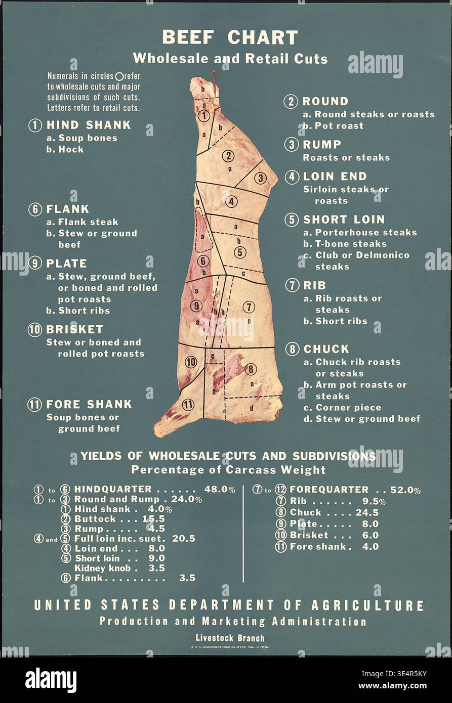 Beef cuts chart hi-res stock photography and images - Alamy