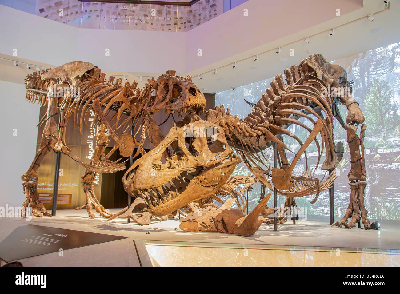 Abu dhabi UAE 8th Feb 2026: At the Natural History Museum Abu Dhabi ...