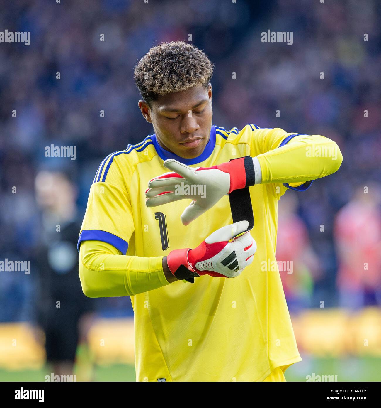 Zion suzuki japan hi-res stock photography and images - Alamy